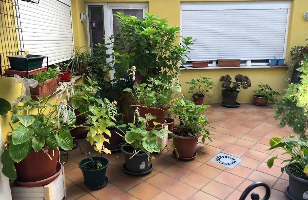 Hostal Escartín-1